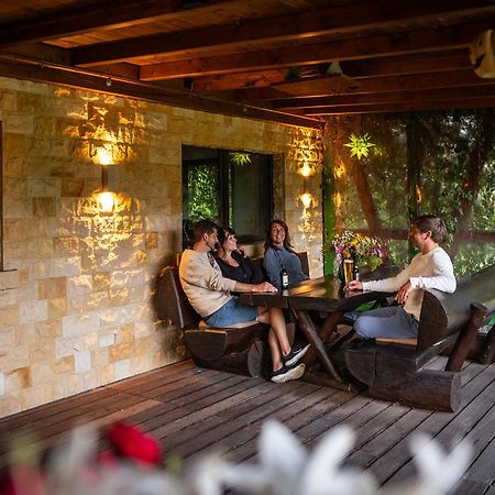 Komfort-Ferienwohnung "Zur Schmiedebruecke" Großschönau Buitenkant foto